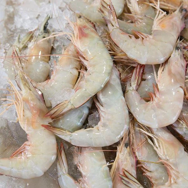 u=2740448160,227975832&fm=30&app=106&f=JPEG